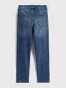 GAP Kavbojke slim High Rise Vintage Washwell GAP