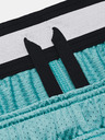 Under Armour Moške kratke hlače Under Armour Pjt Rck Penny Mesh Sts TG