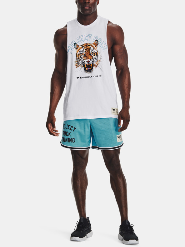 Under Armour Moške kratke hlače Under Armour Pjt Rck Penny Mesh Sts TG
