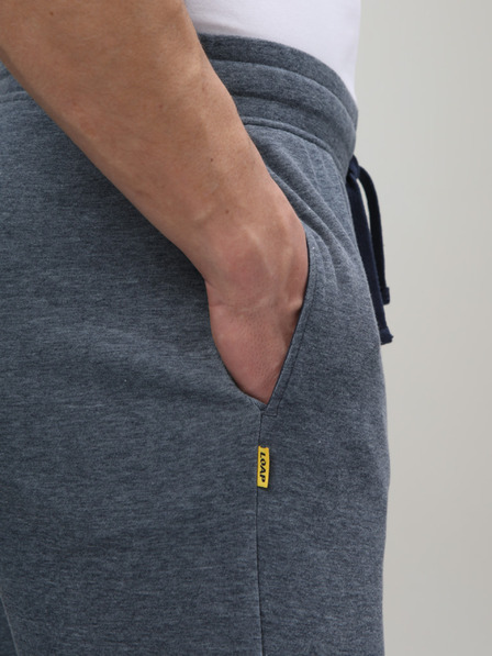 Loap Moške športne hlače LOAP ECRAD Temno modra