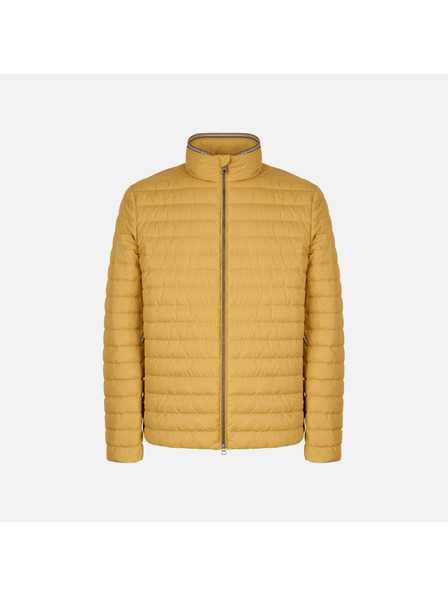 Geox Rumena moška perjena jakna Geox Warrens