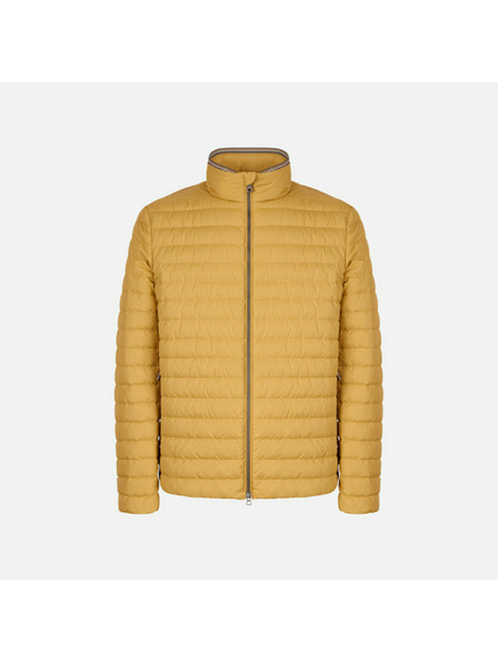 Geox Rumena moška perjena jakna Geox Warrens