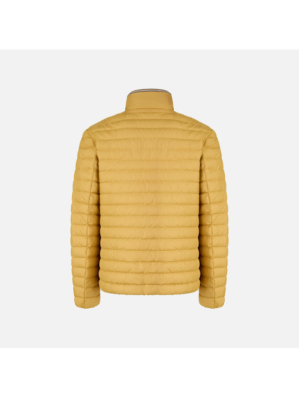 Geox Rumena moška perjena jakna Geox Warrens