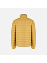 Geox Rumena moška perjena jakna Geox Warrens