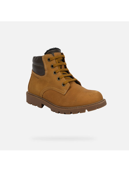 Geox Rjavi fantovski čevlji Geox Shaylax Boy