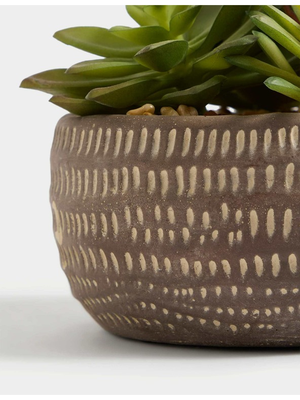 Marks & Spencer Umetni sukulenti v betonskem lončku Marks & Spencer siva