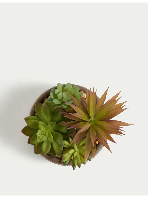 Marks & Spencer Umetni sukulenti v betonskem lončku Marks & Spencer siva