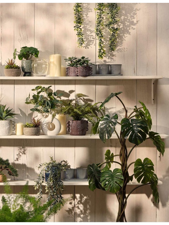 Marks & Spencer Umetni sukulenti v betonskem lončku Marks & Spencer siva