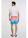 Sam 73 Roza in modre moške kopalke SAM 73 Dino