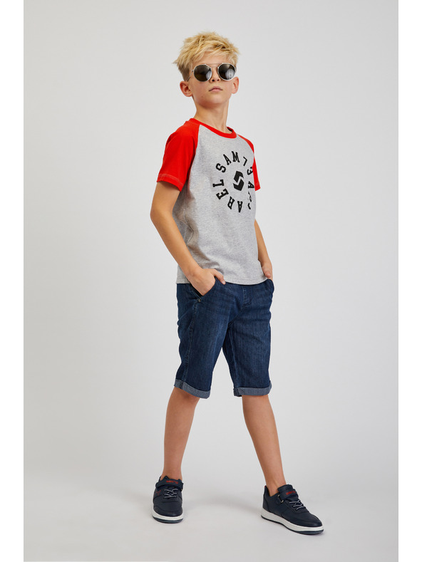 Sam 73 Siva fantovska majica SAM 73