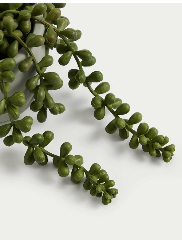 Marks & Spencer Umetni mini viseči starček v lončku Marks & Spencer zelena