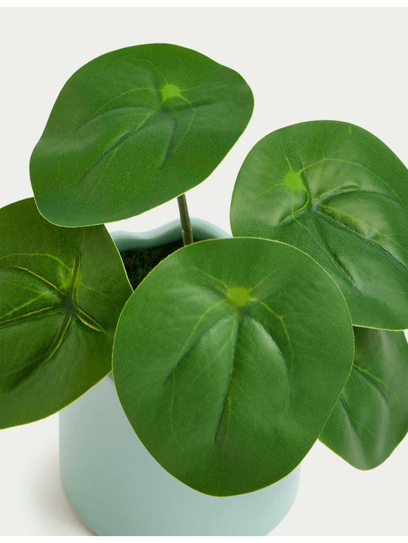 Marks & Spencer Umetna mini rastlina pilea v lončku Marks & Spencer modra
