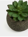 Marks & Spencer Umetni mini sukulent v betonskem lončku Marks & Spencer zelena