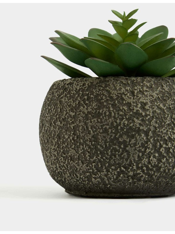 Marks & Spencer Umetni mini sukulent v betonskem lončku Marks & Spencer zelena