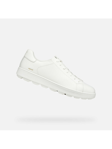 Geox Bele moške superge Geox Spherica Ecub-1 B