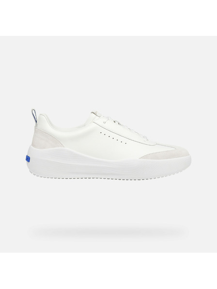 Geox Bele moške superge Geox Gxcp-02