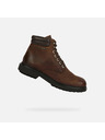 Geox Rjavi moški gležnjarji Geox Faloria b abx
