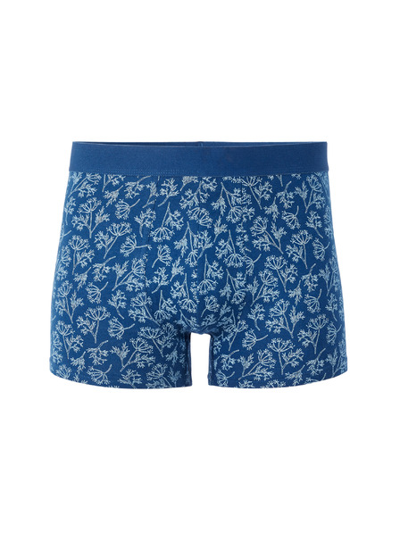 Celio Boxerji Libofloral