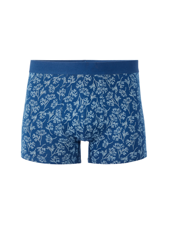 Celio Boxerji Libofloral