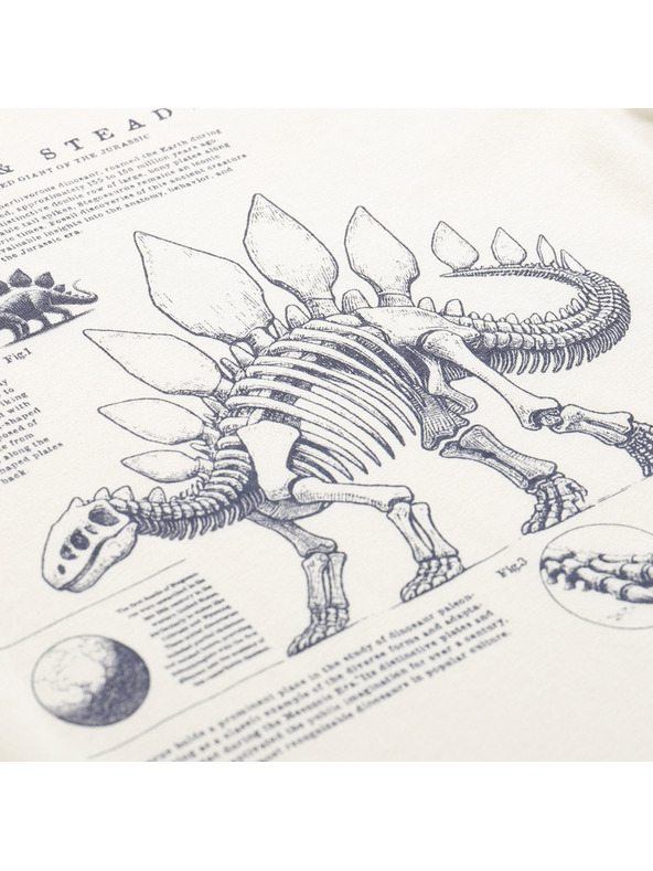 ALPINE PRO Otroška majica iz organske bombaževine ALPINE PRO ECCO 2 creme varianta pf