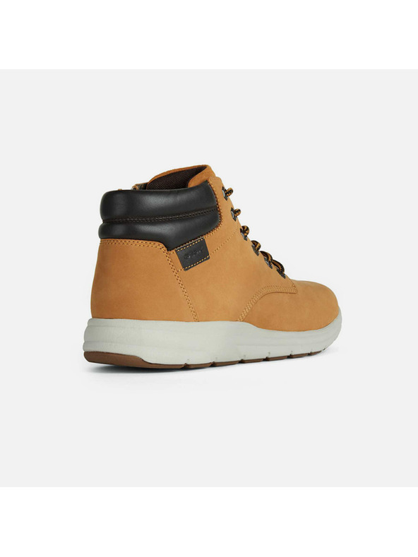 Geox Rjavi moški gležnarji Geox Hallson