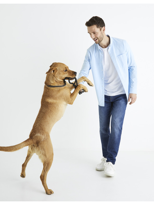 Celio Baxford Srajca