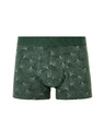 Celio Boxerji Miboginko