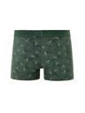 Celio Boxerji Miboginko