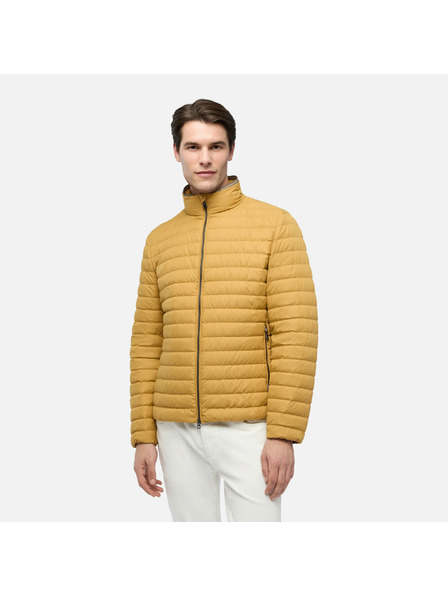 Geox Rumena moška perjena jakna Geox Warrens
