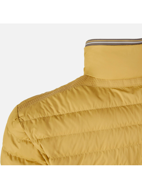 Geox Rumena moška perjena jakna Geox Warrens