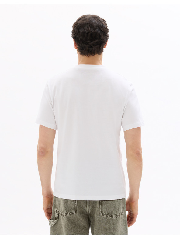 Celio Majica Matisse