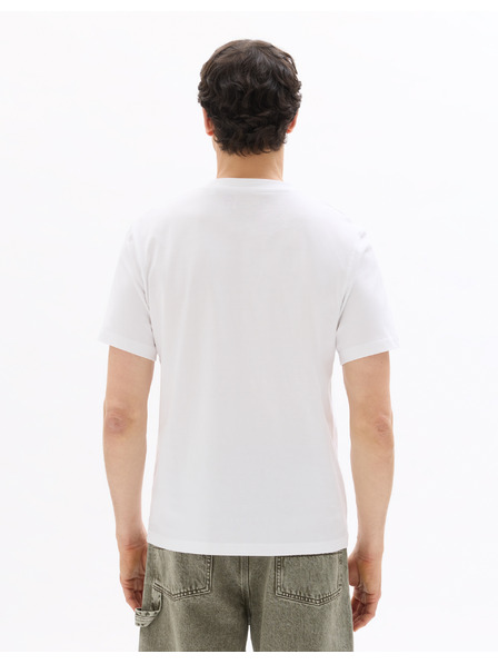 Celio Majica Matisse