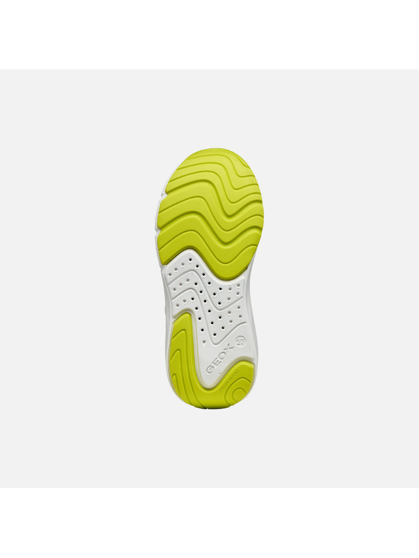 Geox Bele dečke superge Geox Pro-Ran