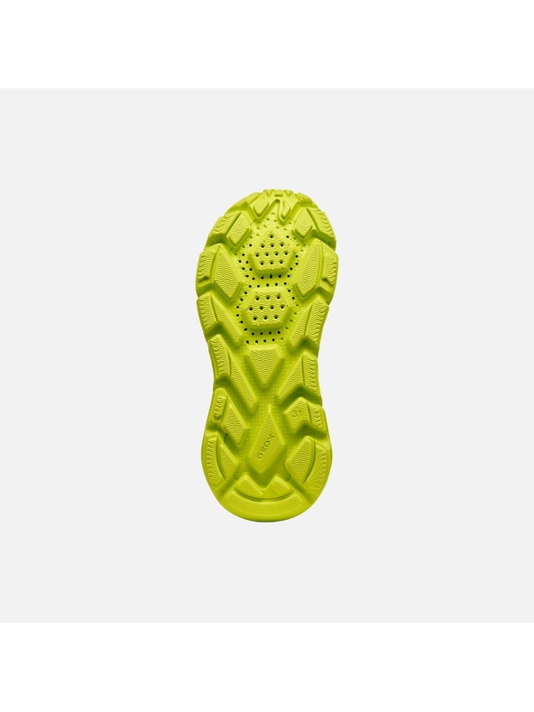 Geox Zelene dečke superge Geox Flexyper Fast