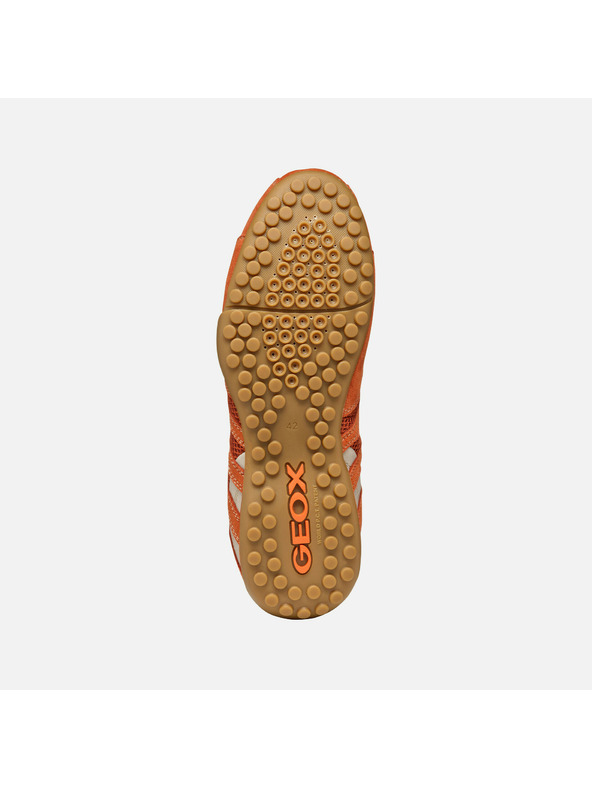 Geox Oranžne moške superge Geox Snake Original