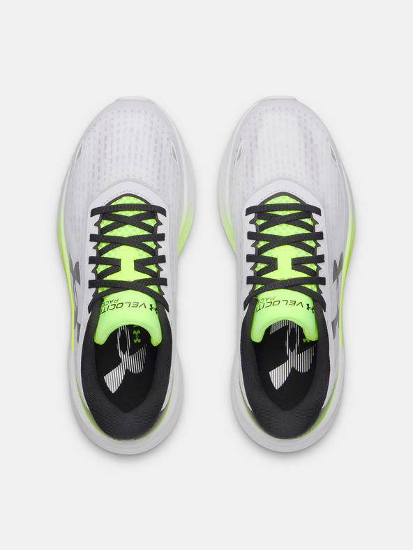 Under Armour Moški čevlji Under Armour UA Velociti Pace