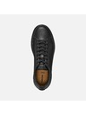 Geox Črne moške športne copate Geox Baltmoore