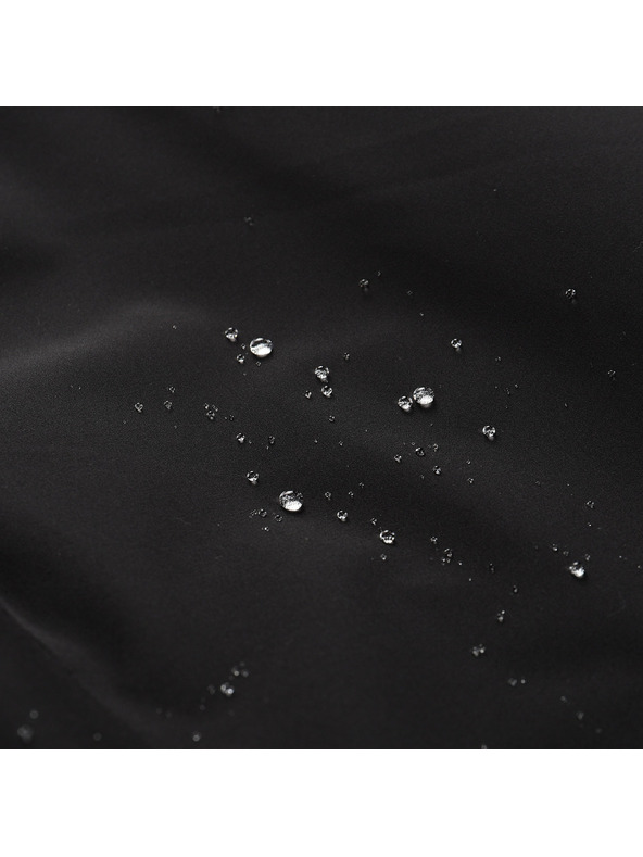 ALPINE PRO Ženske hlače za na prostem z ptx membrano ALPINE PRO ZONERA črna