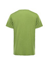 ALPINE PRO Moška funkcionalna majica z antibakterijsko obdelavo ALPINE PRO LYOR peridot