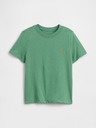 GAP Baby majica Brannan Bear GAP