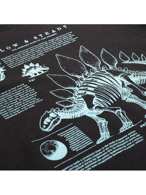 ALPINE PRO Otroška majica iz organske bombaževine ALPINE PRO ECCO 2 black varianta pf