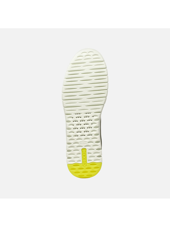 Geox Temno zeleni moški superge Geox Flextride Plus Fast in