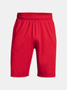 Under Armour Moške kratke hlače Under Armour Raid 2.0 Shorts