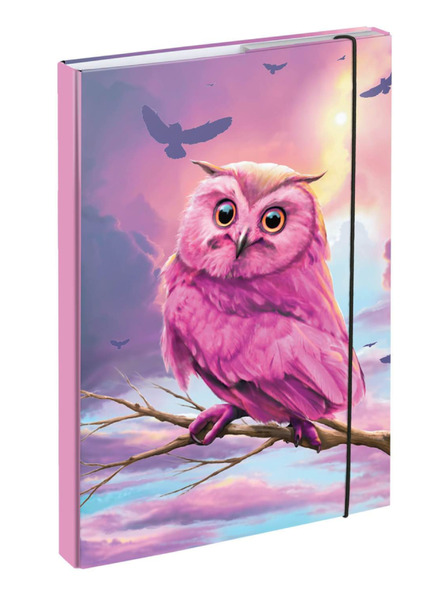 BAAGL  BAAGL Mape za šolske zvezke A4 Sova