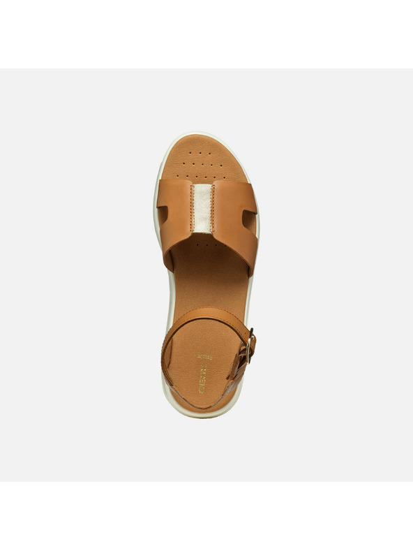 Geox Rjave ženske sandale Geox Dandra