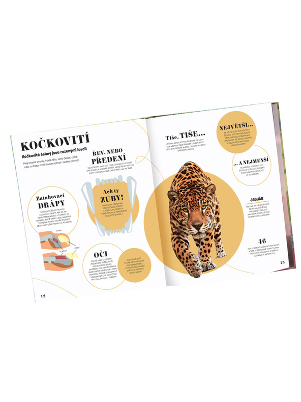 ELLA & MAX 5 MINUT IN VEM: NARAVA – 1000+ osnovnih informacij