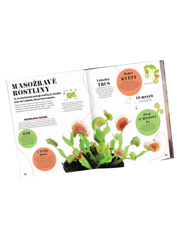 ELLA & MAX 5 MINUT IN VEM: NARAVA – 1000+ osnovnih informacij