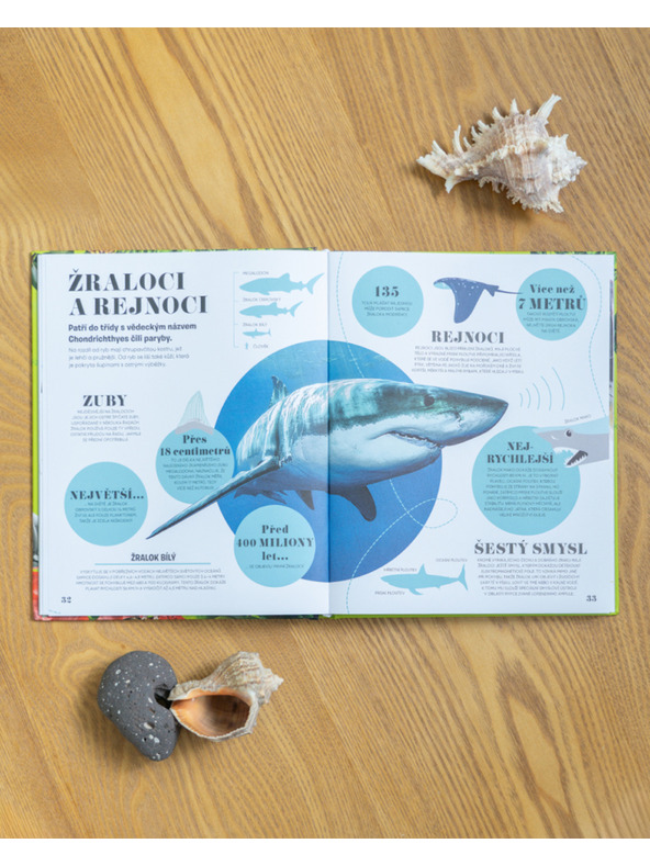 ELLA & MAX 5 MINUT IN VEM: NARAVA – 1000+ osnovnih informacij