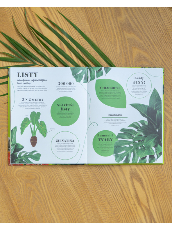 ELLA & MAX 5 MINUT IN VEM: NARAVA – 1000+ osnovnih informacij