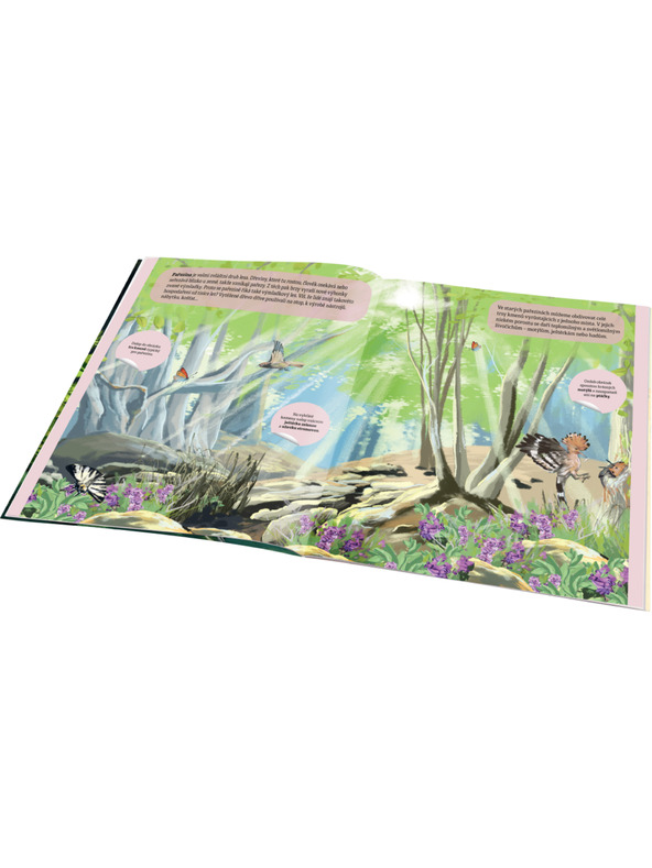 ELLA & MAX ČAROBNI SVET GOZDA – Knjiga nalepk